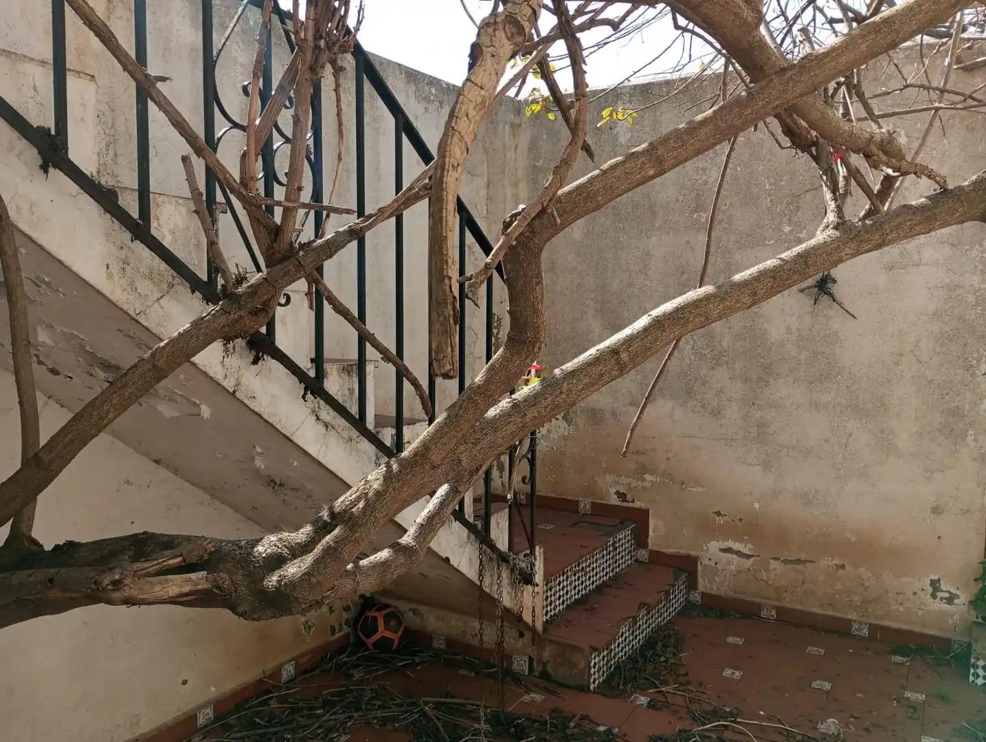 House with garden for sale in La Granja - La Colina - Los Pastores, imagen 19