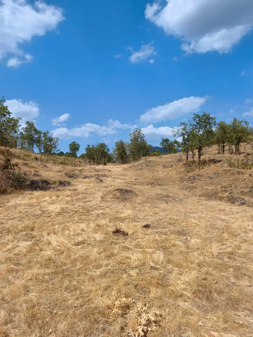 Terreno en venta en Piñuécar-Gandullas