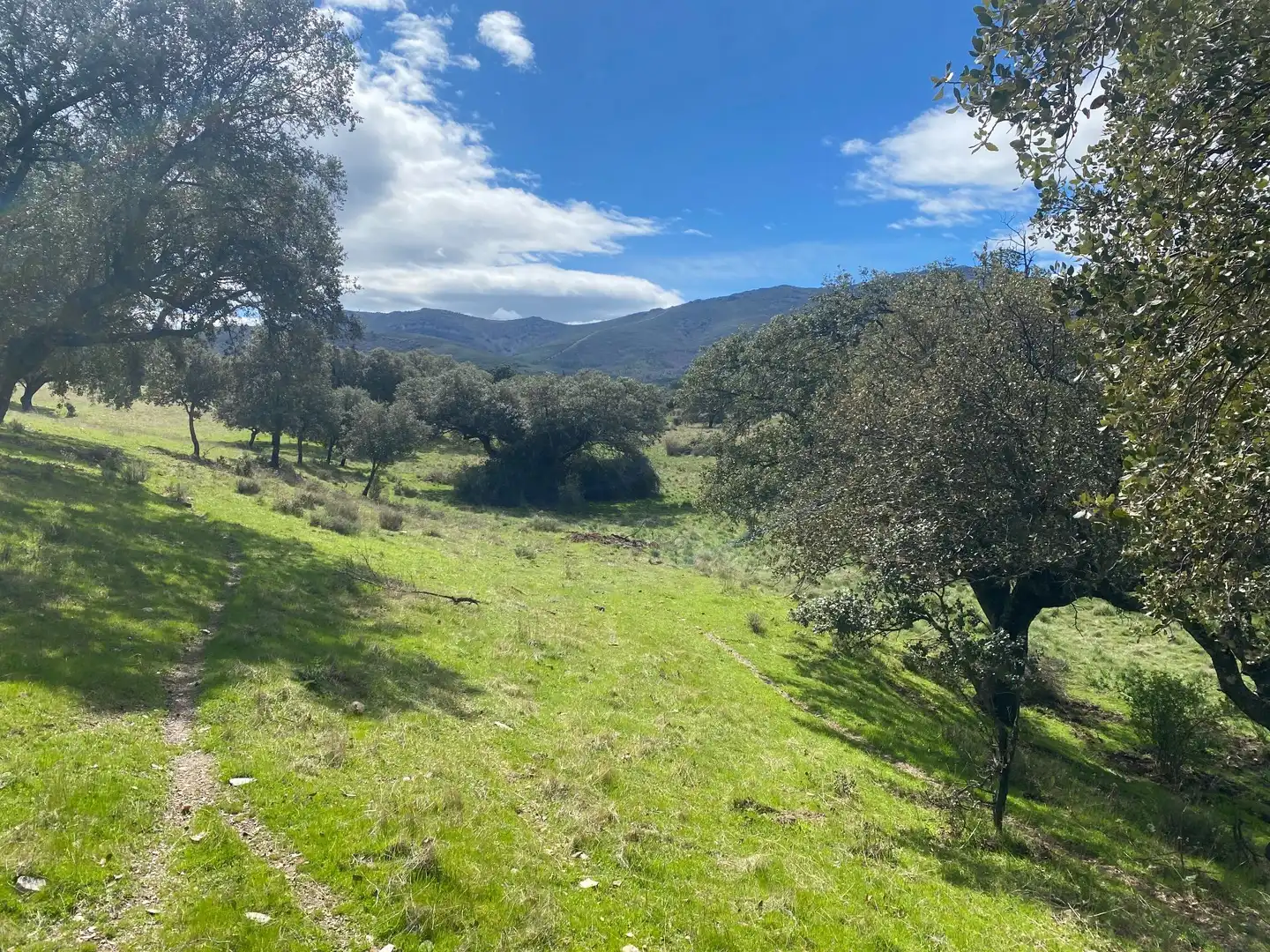 Terreny en venda en Mohedas de la Jara