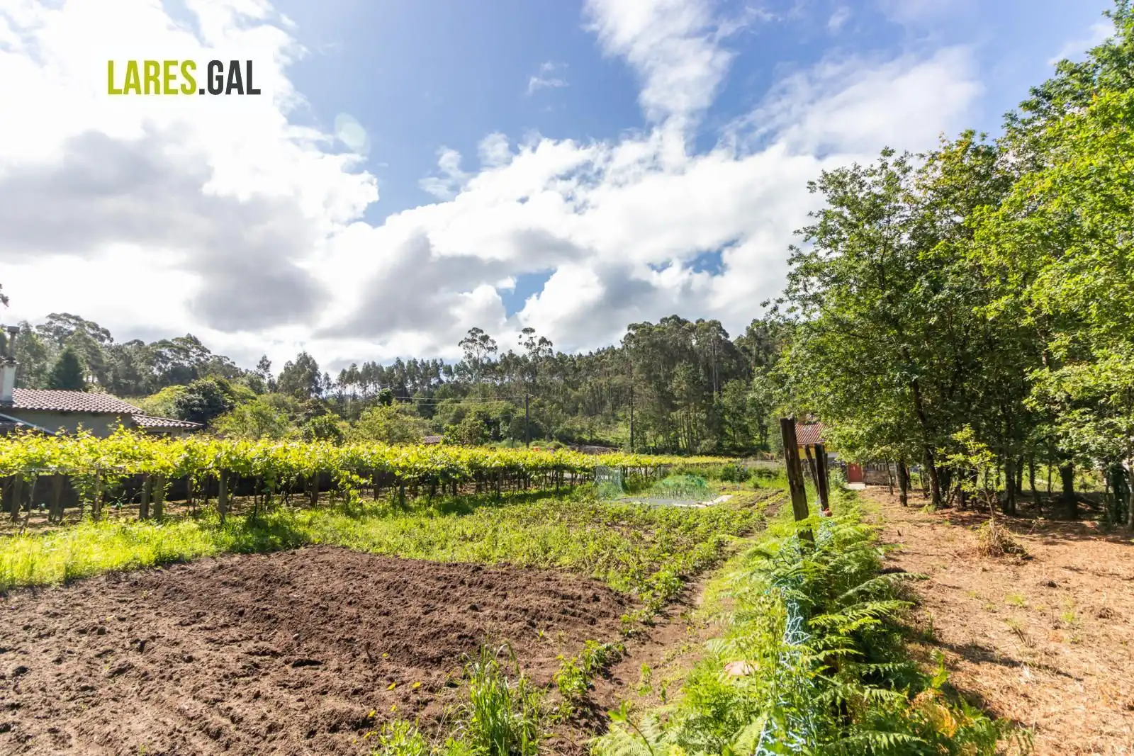 Lands and plots for sale in Rúa Herbello a Magdalena, imagen 10