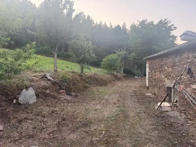 Country homes for sale in San Tirso de Abres