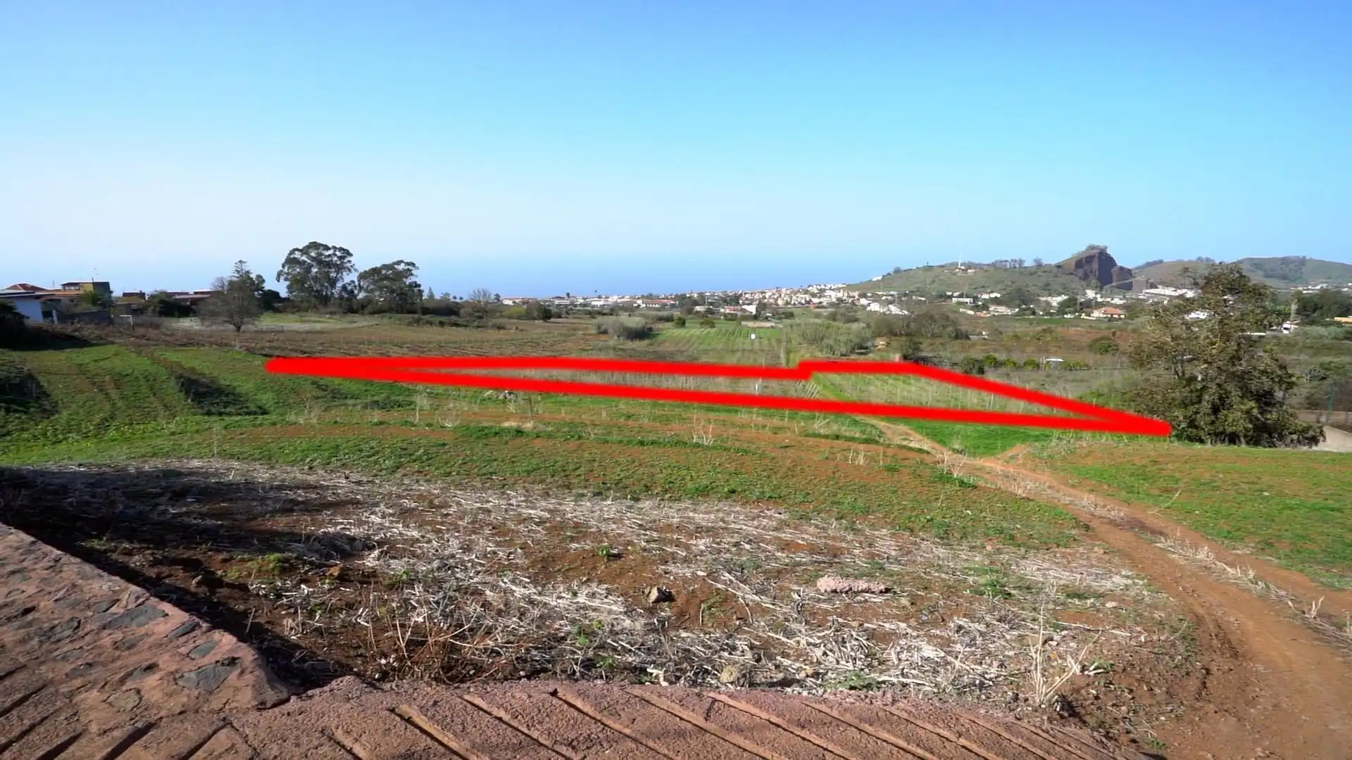 Land for sale in Tacoronte