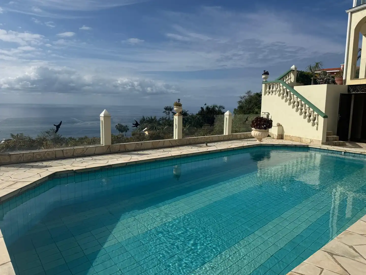 Piscina de Casa o chalet en venta en Santa Úrsula con Jardín privado, Terraza y Piscina