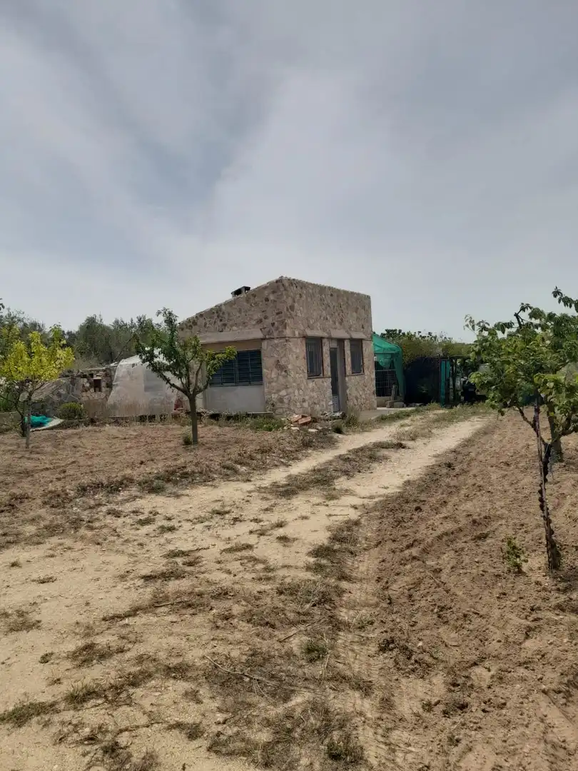 Rural land for sale in Salomó, imagen 4