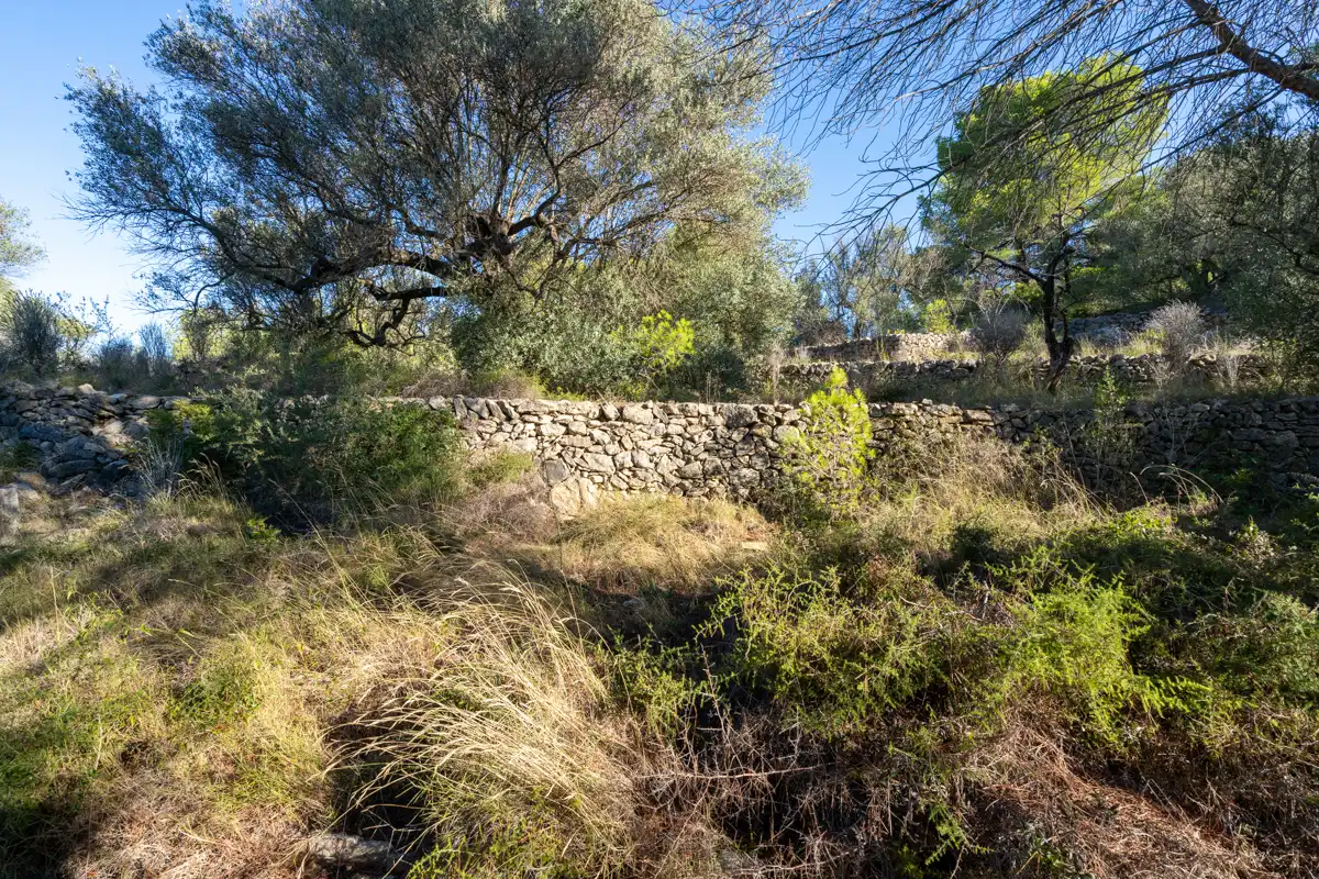 Terreny rústic en venda a Camí de la Potra de Pino 28, imagen 22