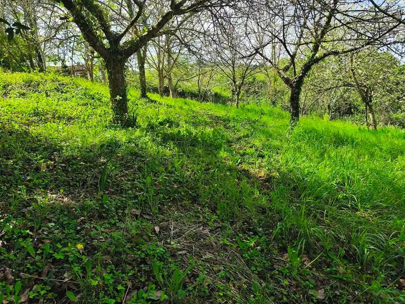 Casa o chalet en venta en Salas con Amueblado
