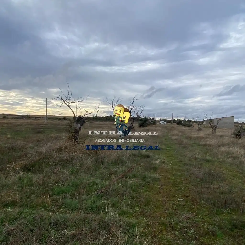 Land for sale in Miranda de Azán