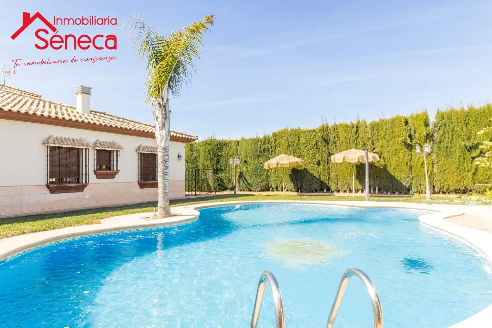 Villa mit Terrasse zum Verkauf in EL MEMBRILLAR, CASA 3 - EL RINCONCILLO, imagen 12