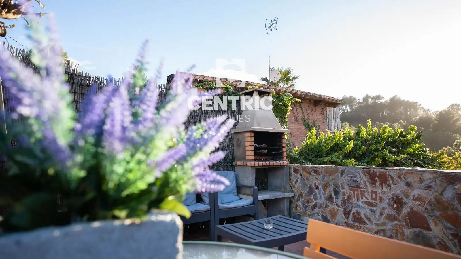Casa o chalet en venta en Can Palet de Vista Alegre