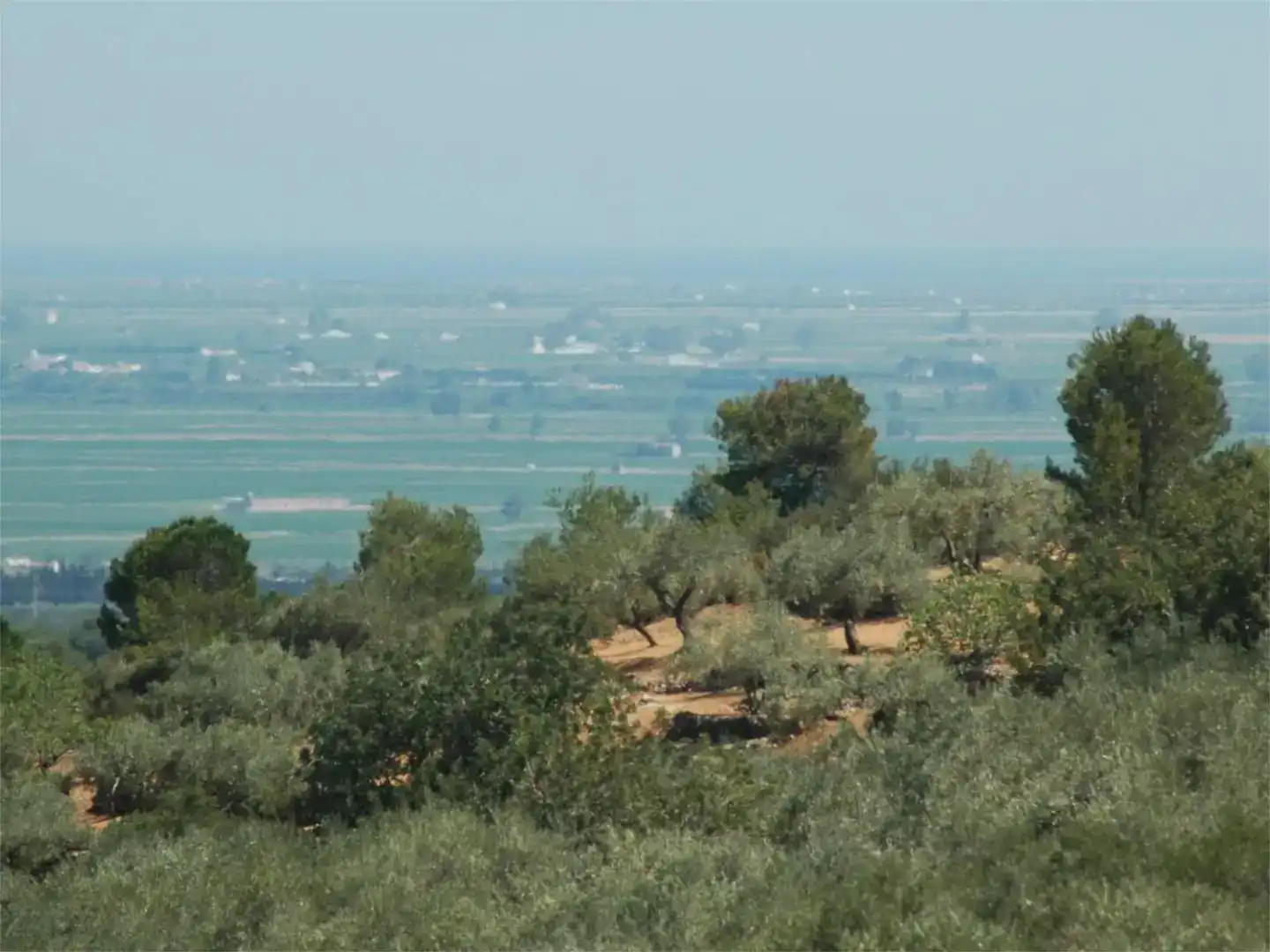 Finca rústica en venda en Camarles