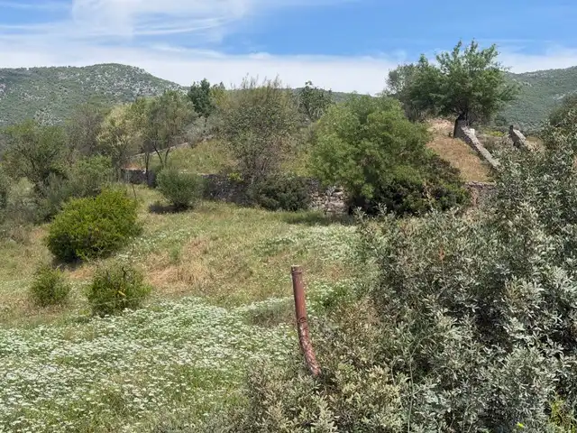 Terrain rustique à vendre à Lugar Tavizna, imagen 3