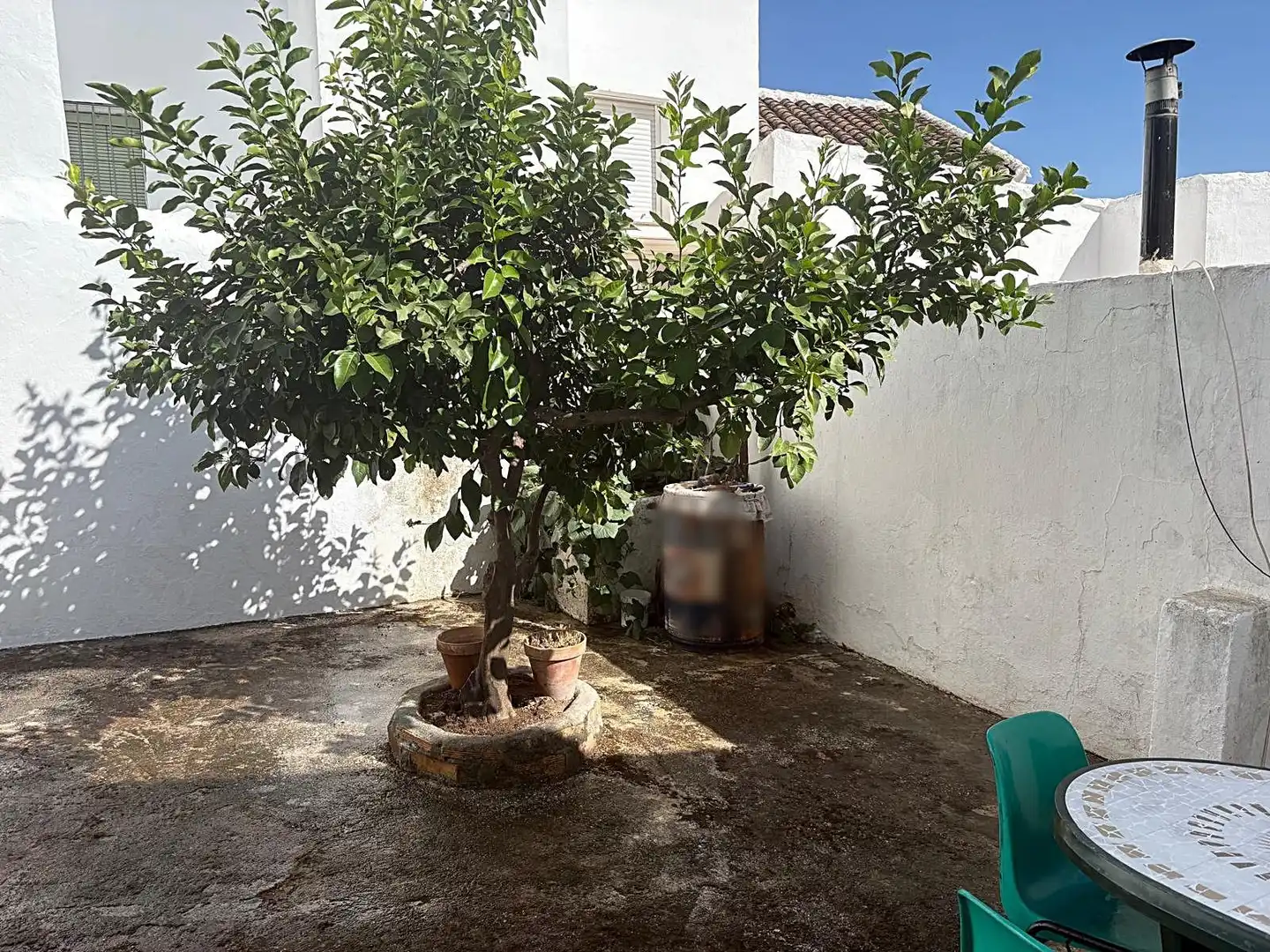 Jardín de Finca rústica en venta en Yunquera con Jardín privado, Terraza y Balcón