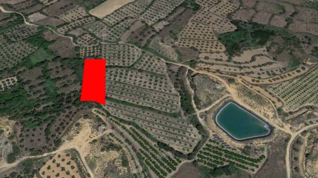 Terreno en Venta en Ptda Las Planas  en Albalate del Arzobispo