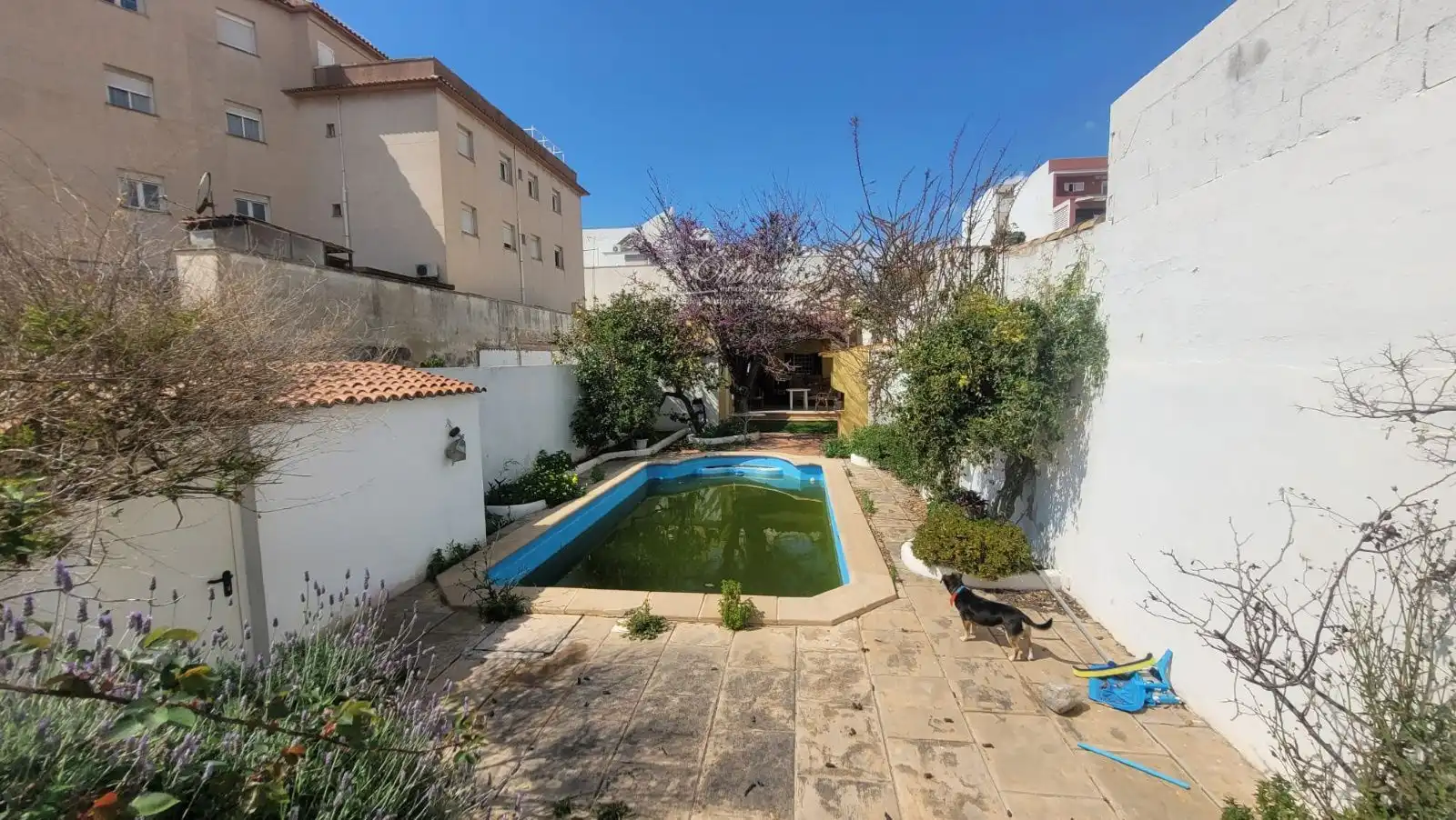 Piscina de Casa o xalet en venda en  Palma de Mallorca amb Terrassa
