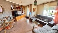 Wohnung zum verkauf in Avenida doctor garcia rogel, Orihuela ciudad, Orihuela, imagen 1