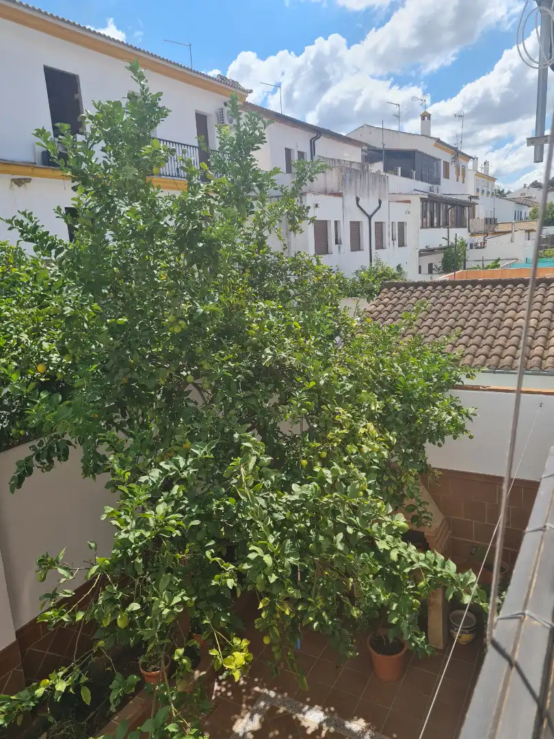 Chalet con terraza en venta en El Bosque, imagen 12