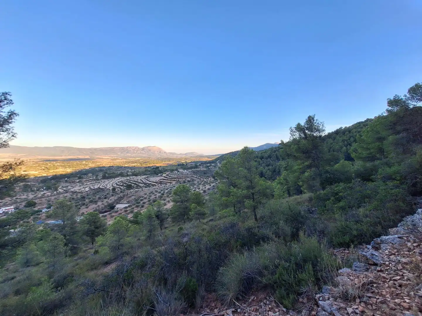 Rural land for sale in Castalla, imagen 17