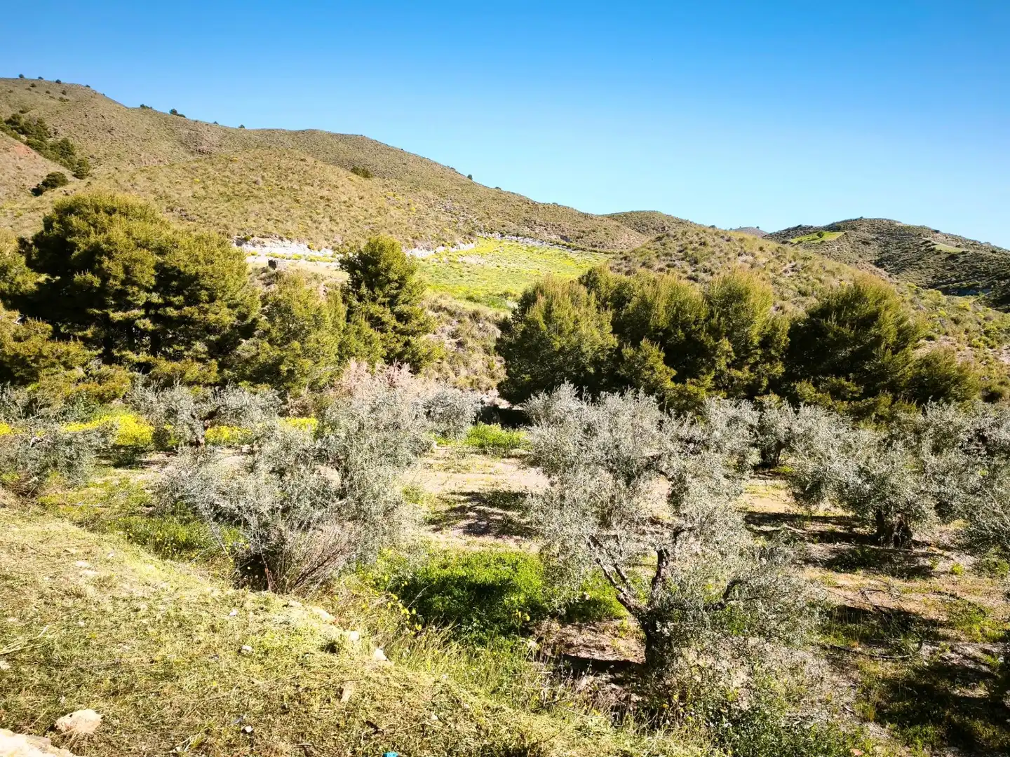 Terrains et parcelles à vendre à MORATA, imagen 42