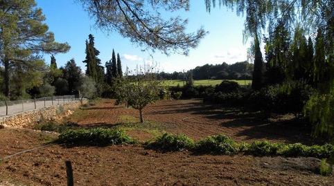 Photo 5 of Country house for sale in Sencelles, Illes Balears