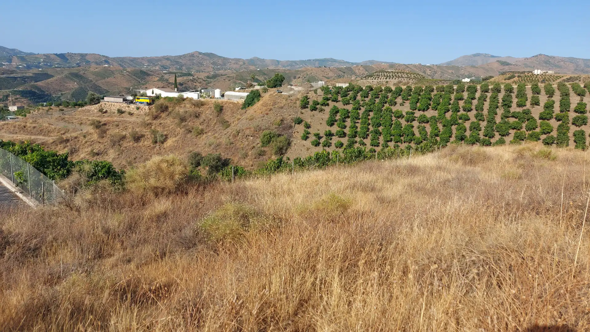 Terrain rustique à vendre à Vélez-Málaga ciudad, imagen 2