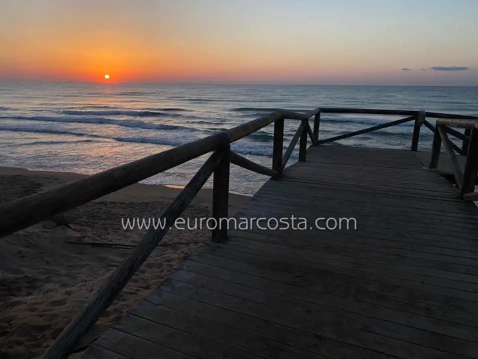 Chalet con piscina en venta en Calle José Carreras, imagen 43