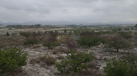 Parcela rústica en venta en Albaida