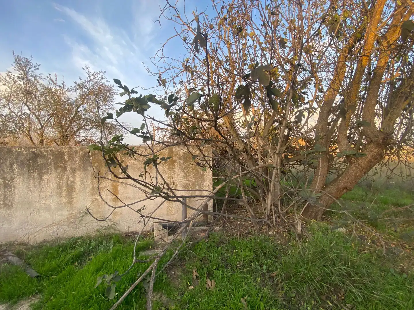 Terreni e lotti in vendita a Atarfe, imagen 15
