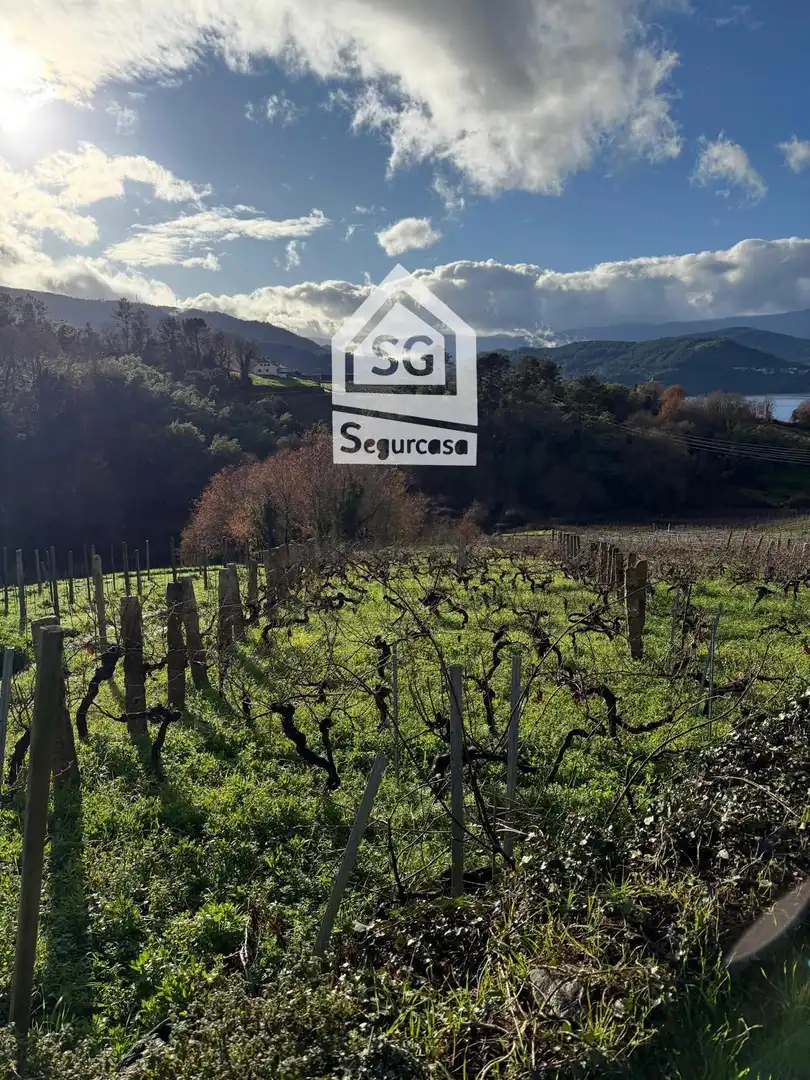 Terreno rustico in vendita a Castrelo de Miño, imagen 3