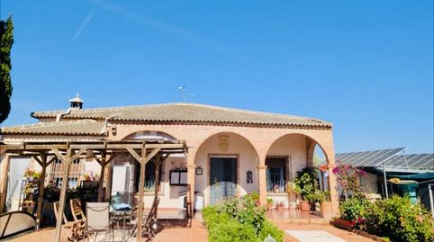 Foto 3 de Finca rústica en venda a Polígono 14 Parcela 20 la Peñilla. Casariche (sevi, Casariche, Sevilla