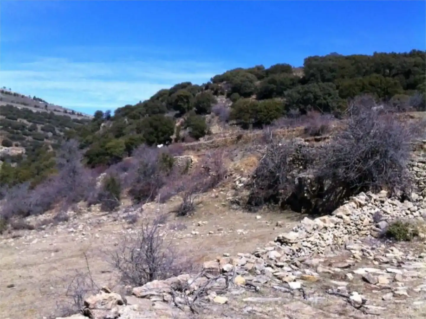 Terreno en venta en Mosqueruela