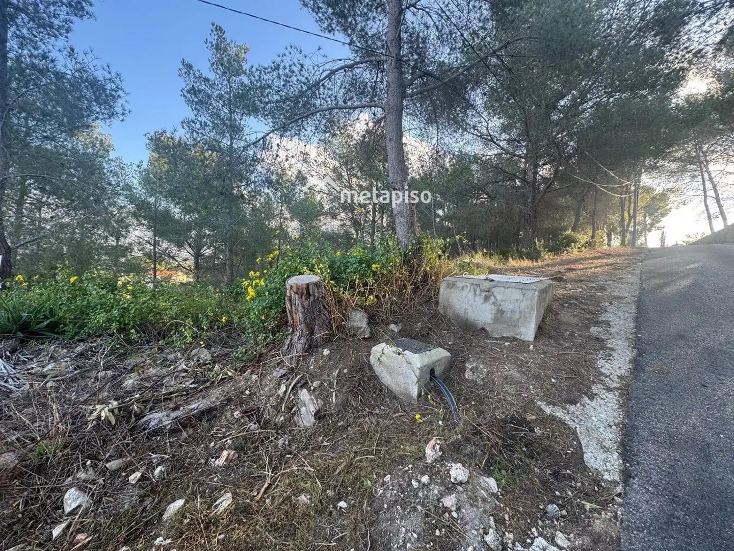 Rural land for sale in La Bisbal del Penedès, imagen 5