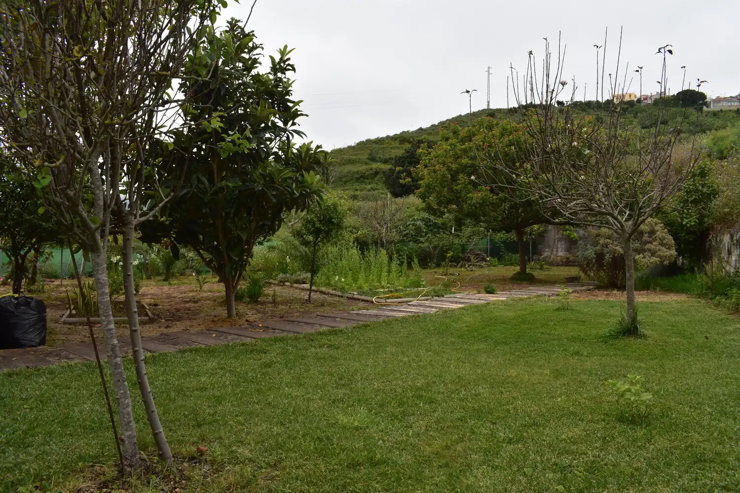 Finca rústica en venda en Icod de los Vinos amb Terrassa i Moblat