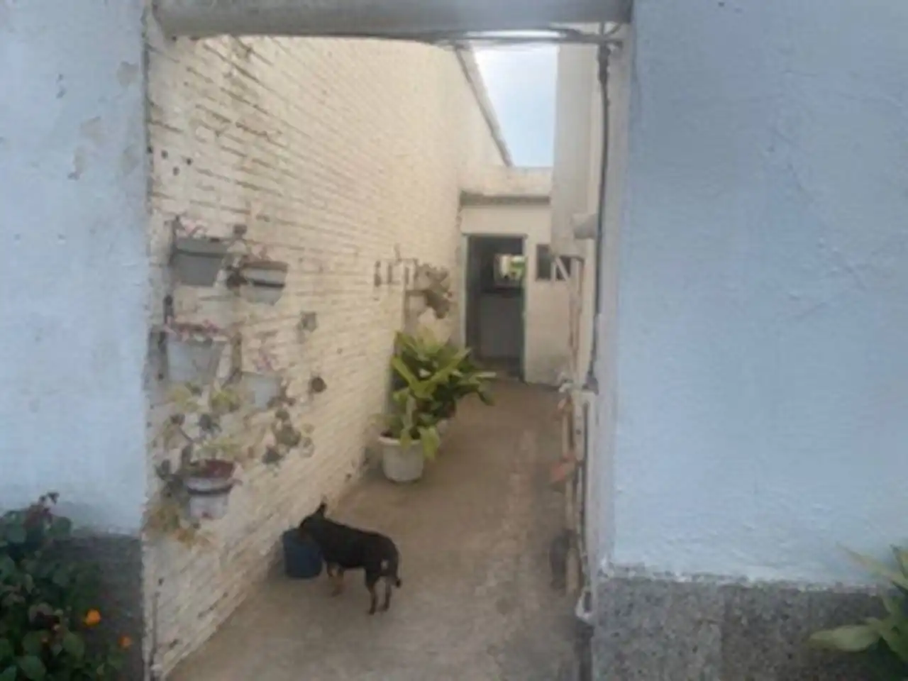 Vista exterior de Casa o xalet en venda en Lleida amb Calefacció, Jardí privat i Piscina