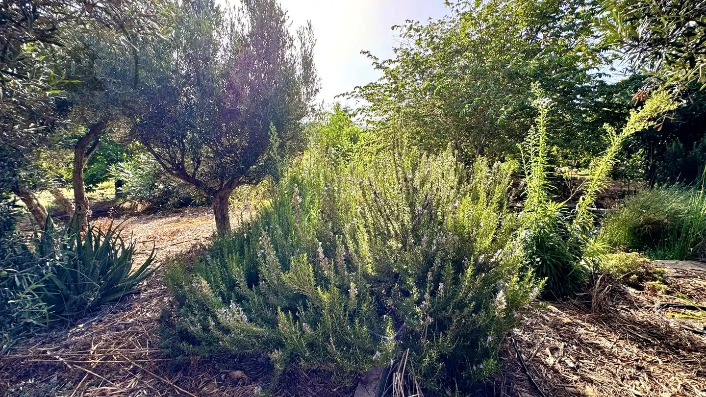 Finca rústica en venda en Buenavista del Norte amb Jardí privat i Terrassa