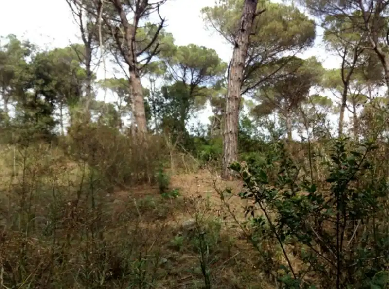 Residential land for sale in INDUSTRIAL CN II, POLIGONO 18, PARCELA 44, imagen 14