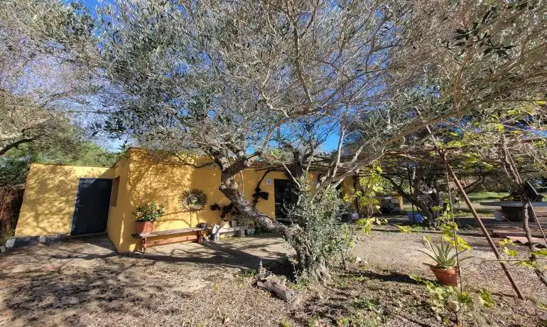 Lands and plots for sale in Garriguella, imagen 8