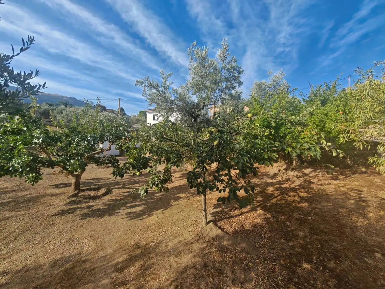 Xalet amb jardí en venda a Loja, imagen 8