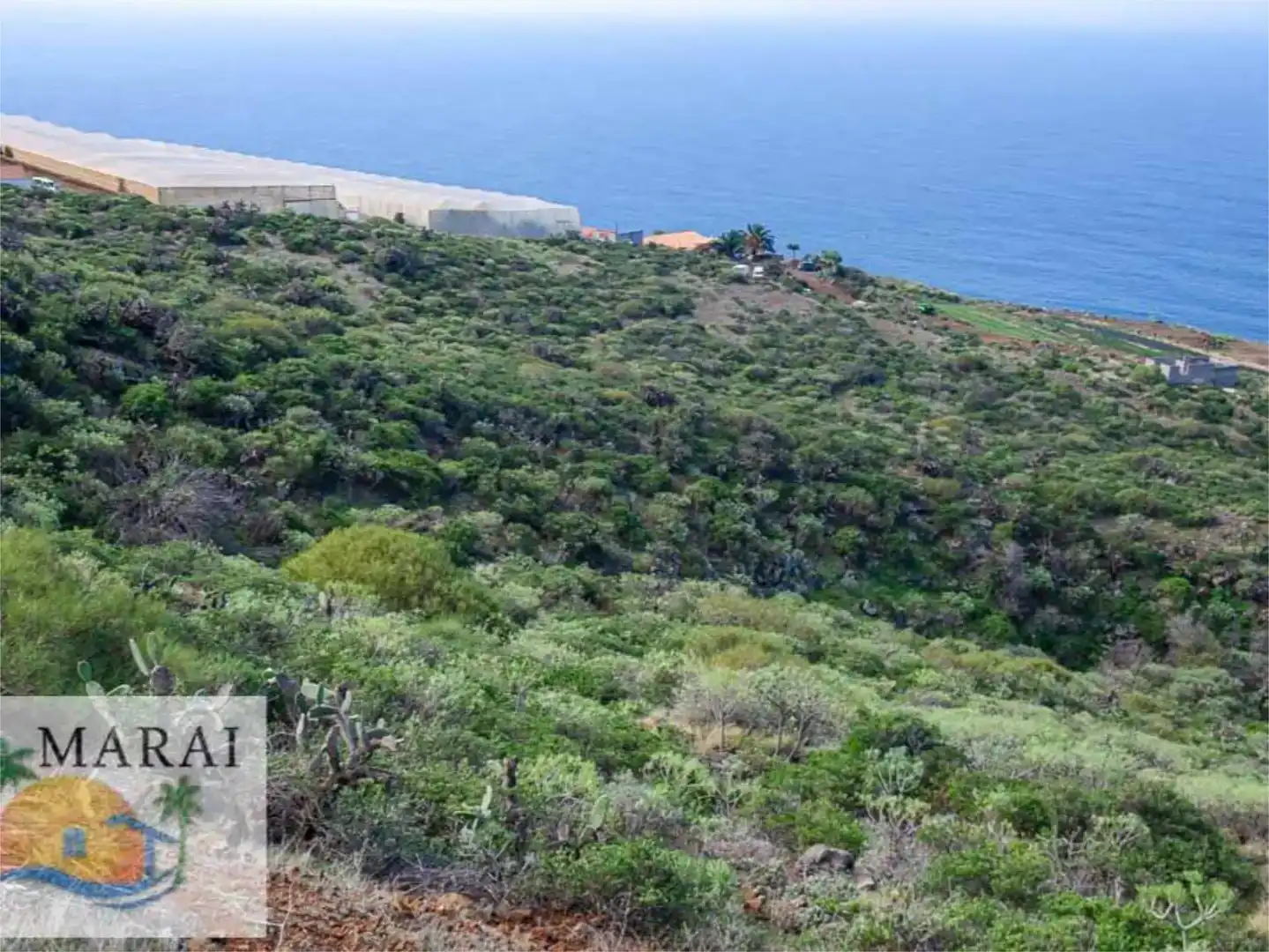 Terreno en venta en Puntagorda