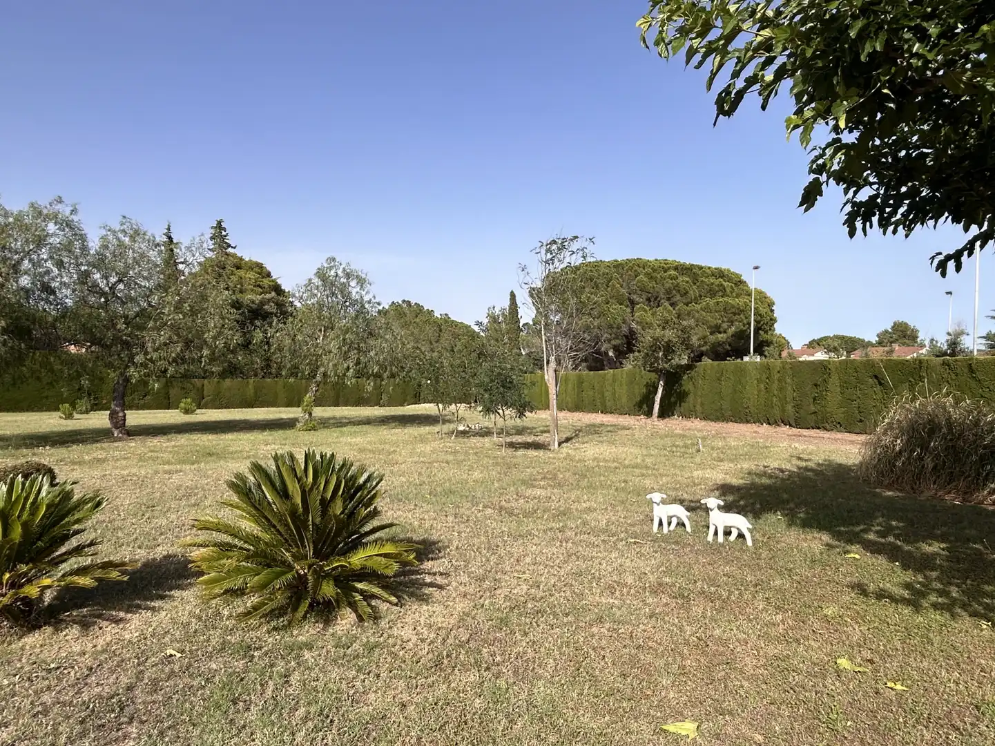 Maison avec piscine à vendre à Almoster - AV CATALUNYA, imagen 17