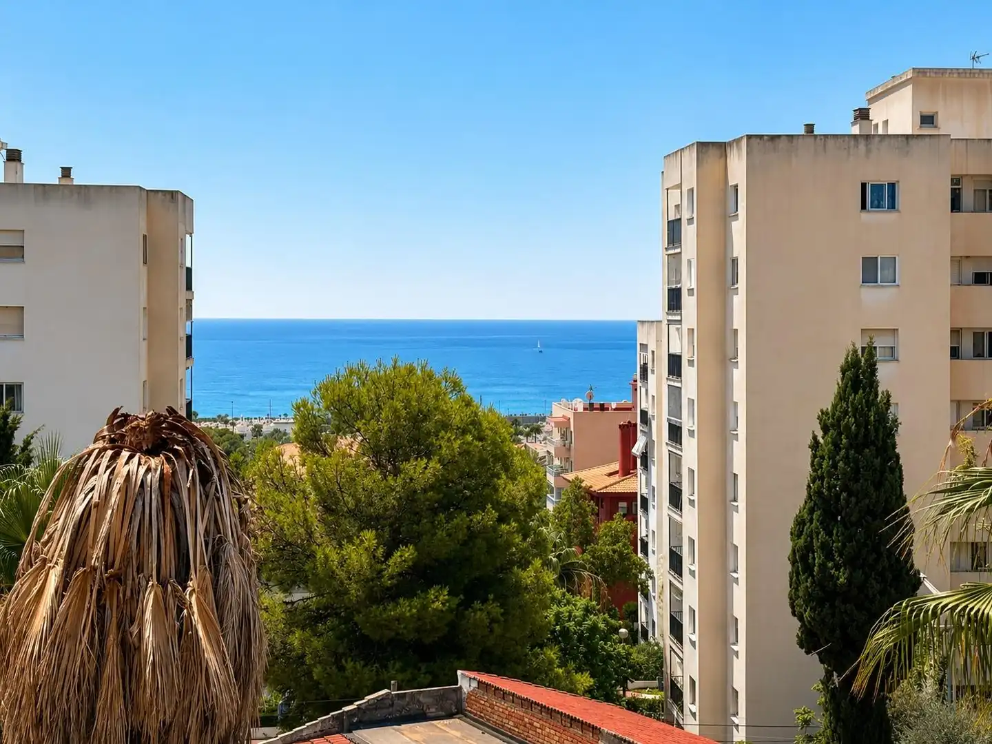 Vista exterior de Estudio de alquiler en Benalmádena con Amueblado, Balcón y Piscina comunitaria