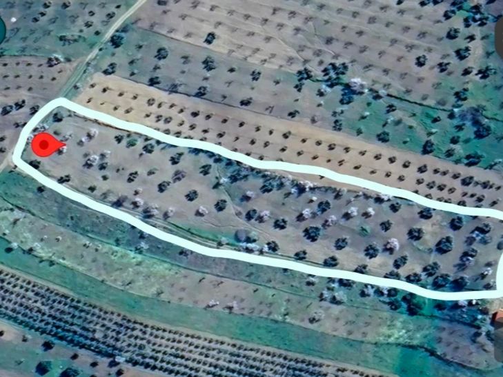 Land for sale in Los Santos de Maimona