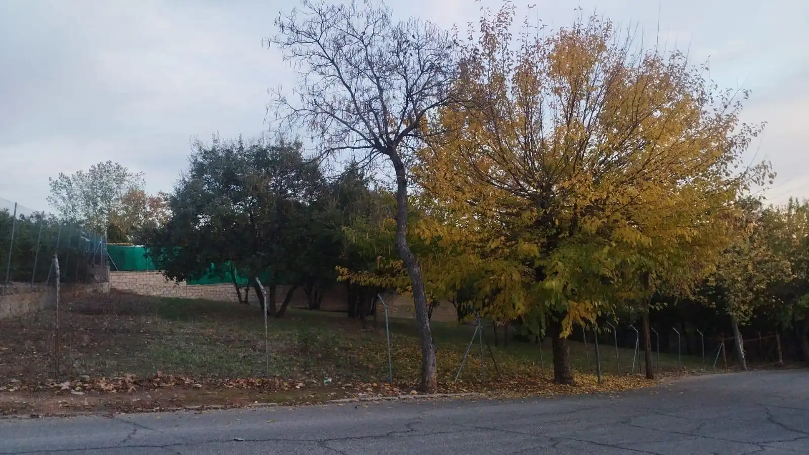 Terrain résidentiel à vendre à Calle ALAMO, imagen 6