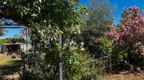 Foto 3 de Casa o xalet en venda a Nombela, Toledo