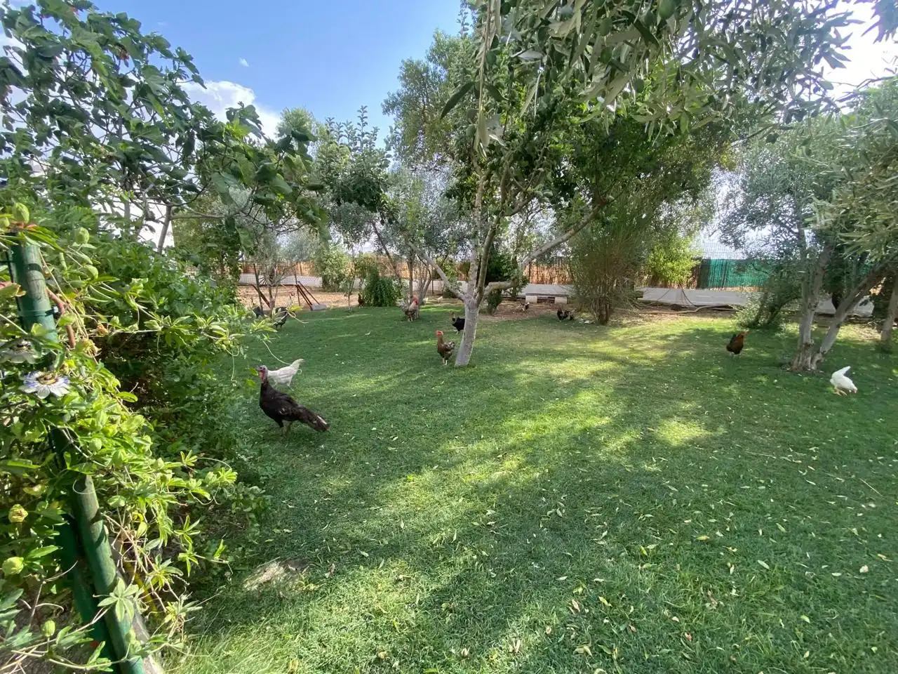 Casa rústica amb piscina en venda a DS DISEMINADOS Polígono 14 Parcela 10 LA CARRETERA, imagen 30