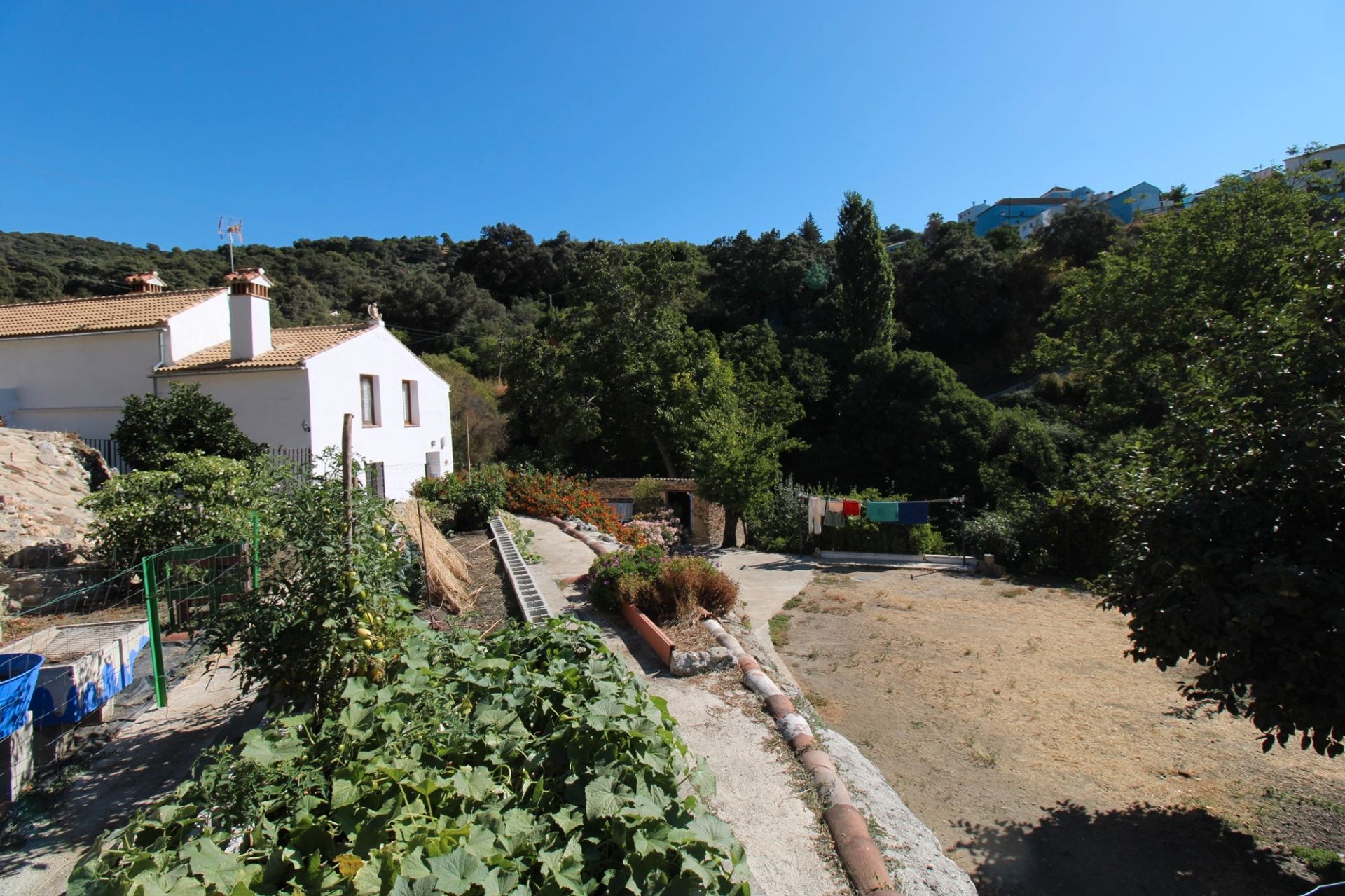Garden of Country house for sale in Júzcar  with Private garden, Terrace and Swimming Pool