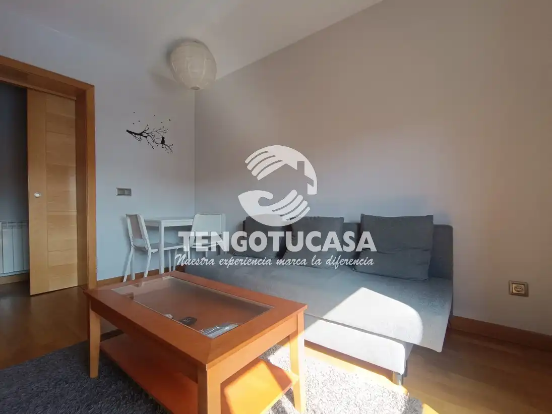 Living room of Flat for rent in  Madrid Capital  with Air Conditioner, Heating and Furnished