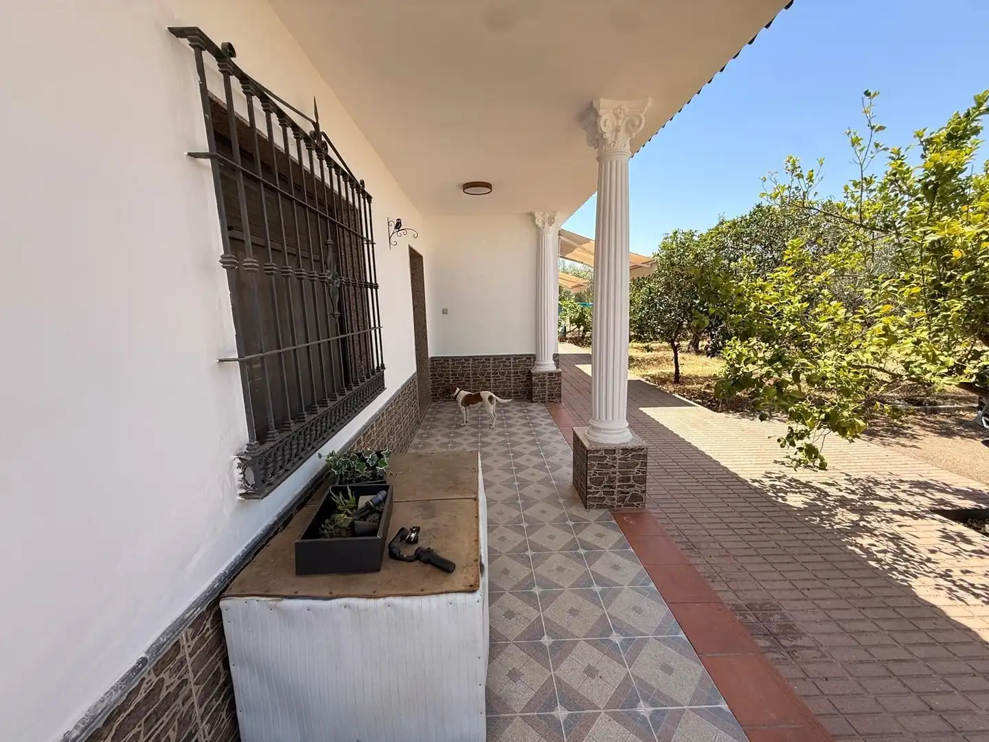 Vista exterior de Casa o chalet en venta en La Carlota con Aire acondicionado, Jardín privado y Terraza