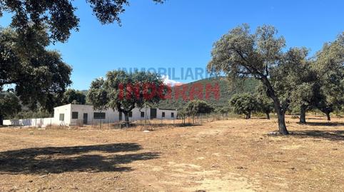 Foto 3 de Finca rústica en venda a Calle el Girillo, Villar del Pedroso, Cáceres