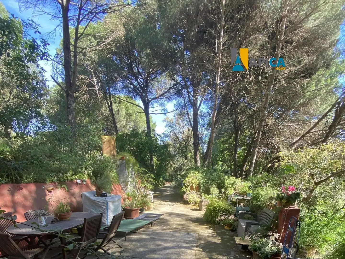 Rural land for sale in Castellar de la Frontera, imagen 26