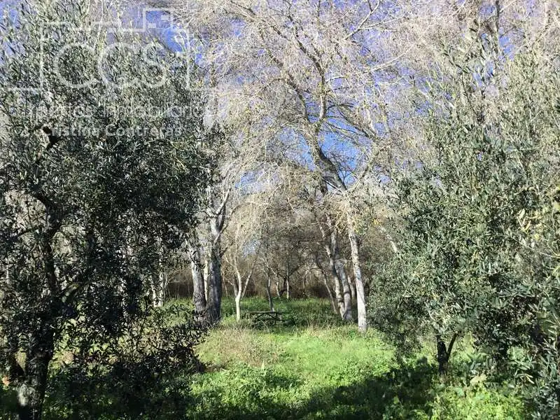 Finca rústica en venta en Pilas con Aire acondicionado, Terraza y Trastero